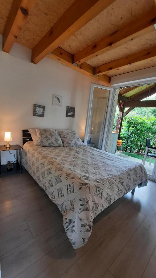 Promo 2-9Juin Gite 6 Personnes Toulouse 7Mn Du Metro 4 Lits Terrasses Gragnague Zewnętrze zdjęcie